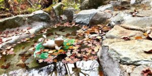 【長野県】松川渓谷温泉”滝の湯”
