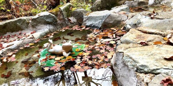 【長野県】松川渓谷温泉”滝の湯”